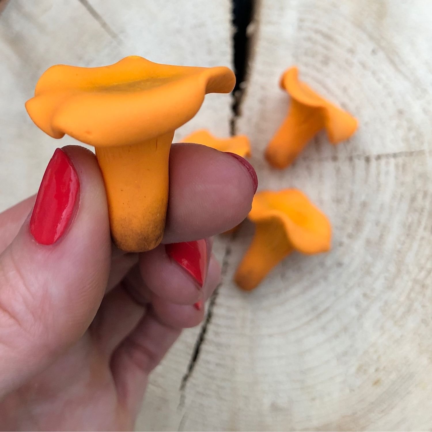 Поделки грибы из пластилина идеи по изготовлению своими руками фото