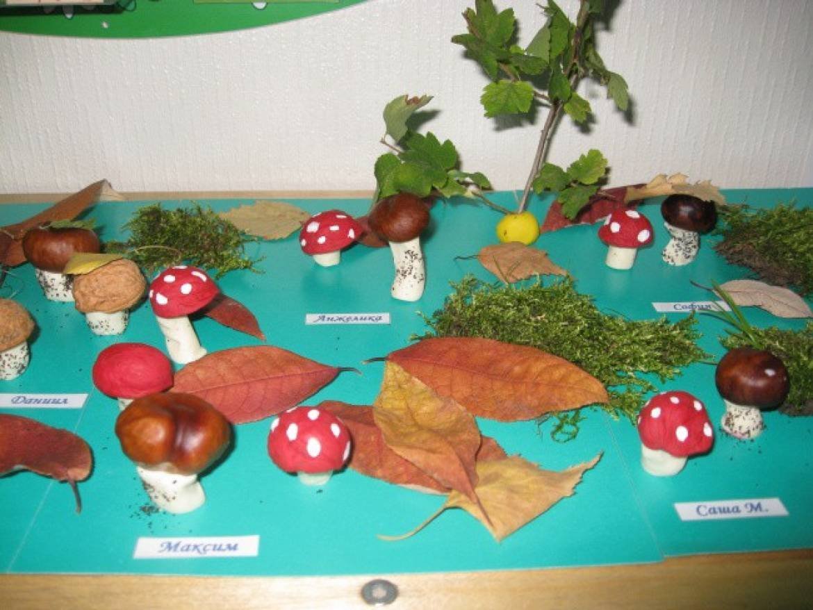 Поделки из пластилина грибы в лесу идеи по изготовлению своими руками фото