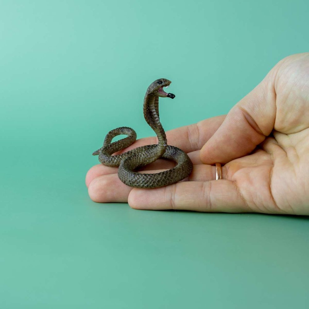 Поделки кобра из пластилина идеи по изготовлению своими руками фото