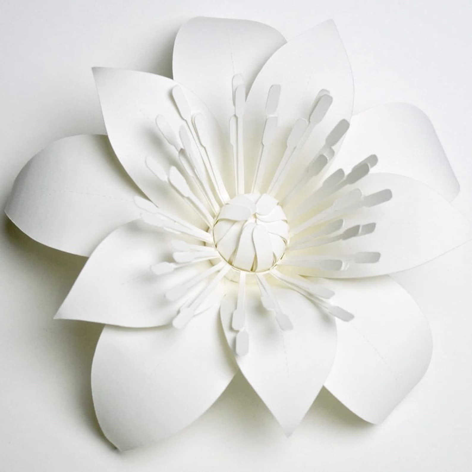 Поделки цветы из белого картона  идеи по изготовлению своими руками фото