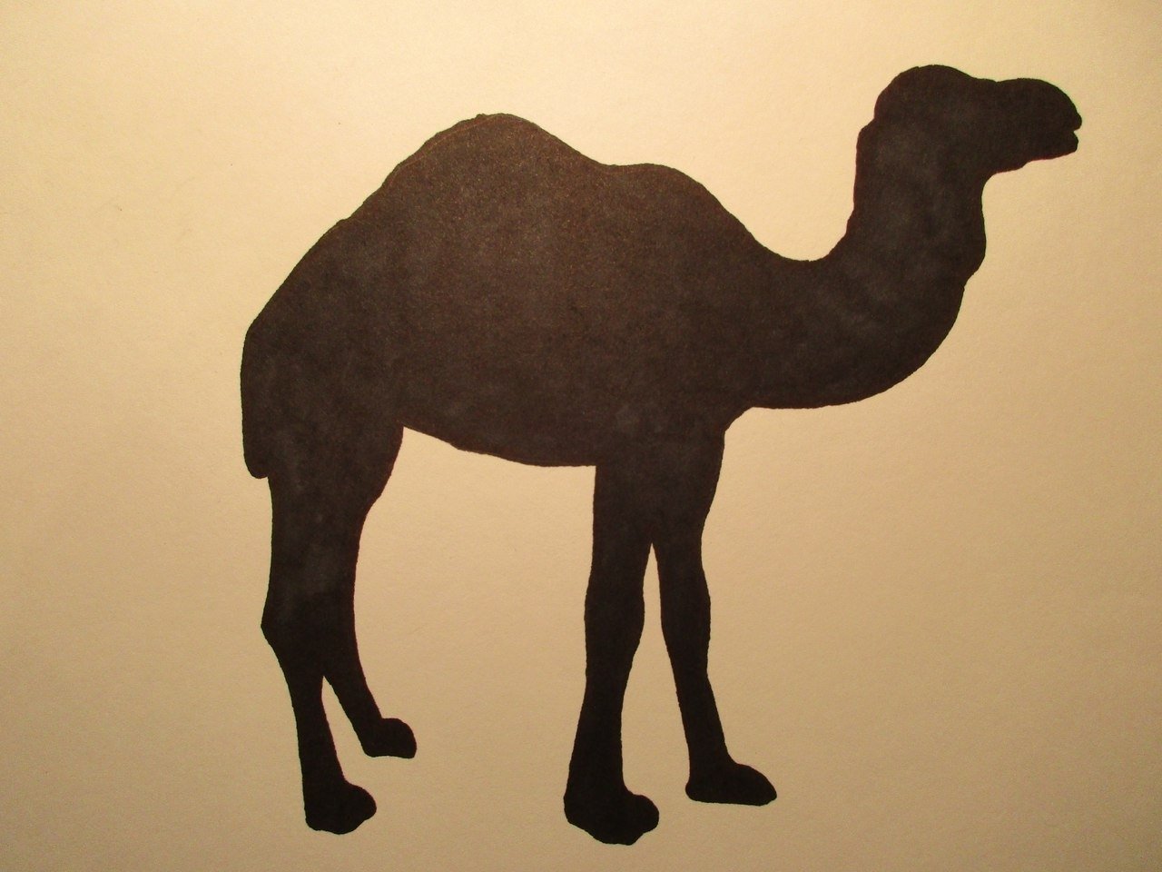 Поделки верблюд из картона идеи по изготовлению своими руками фото