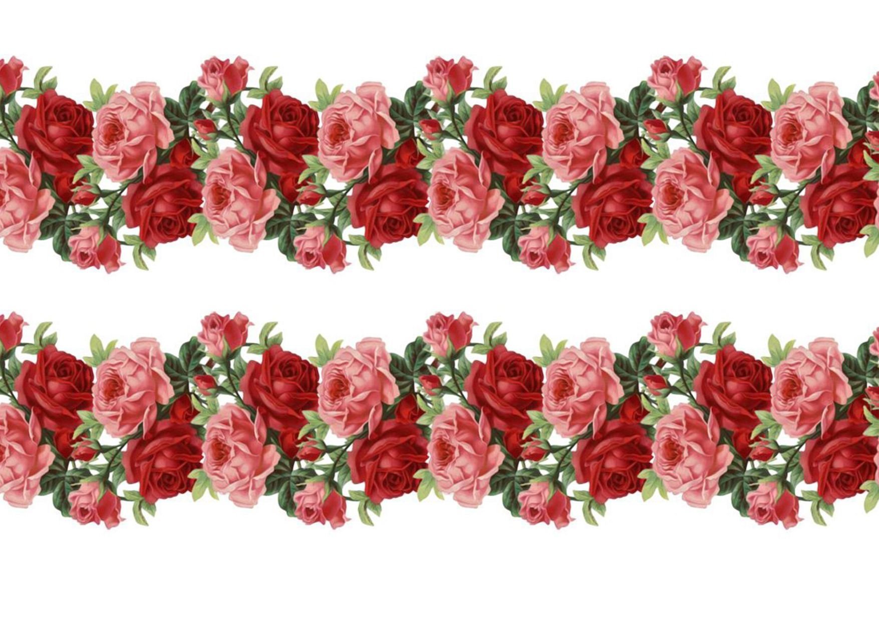 Полоса из роз на прозрачном фоне фото