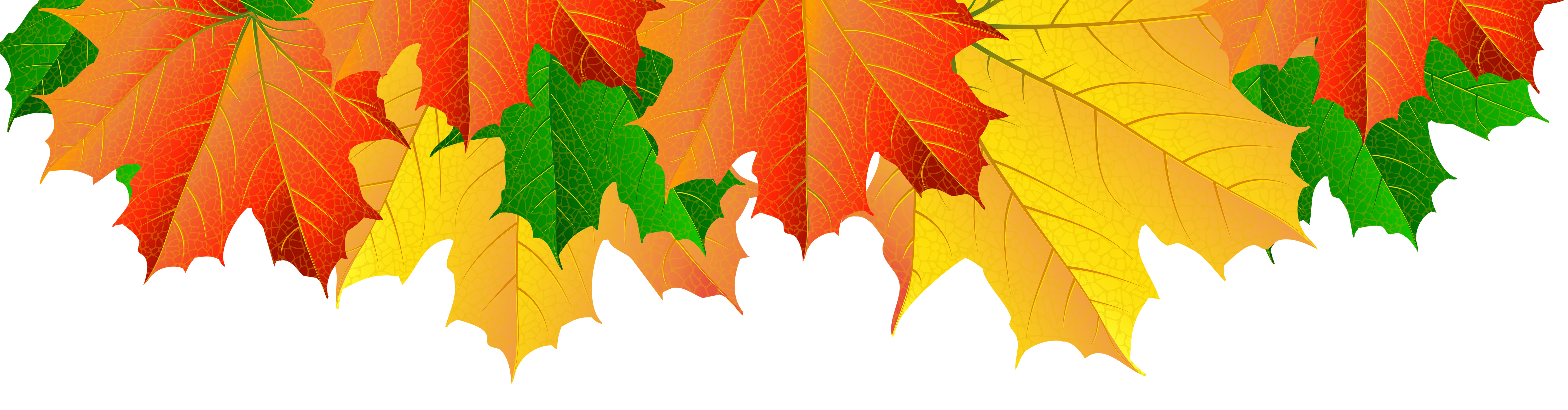 Полоска из осенних листьев на прозрачном фоне фото