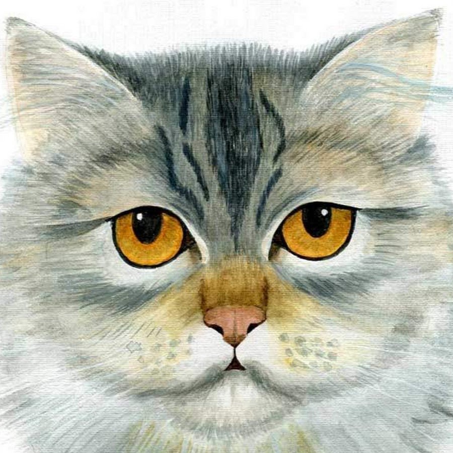 Портрет кота детский рисунок фото