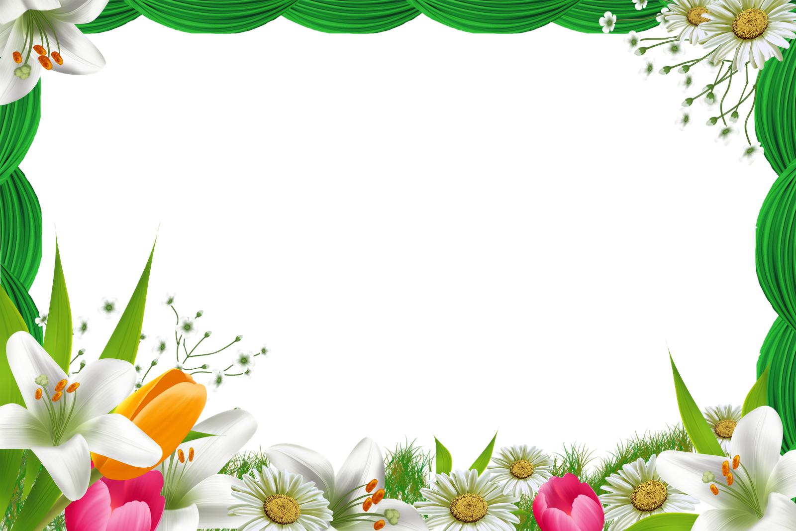 Праздничная рамка цветы на прозрачном фоне фото