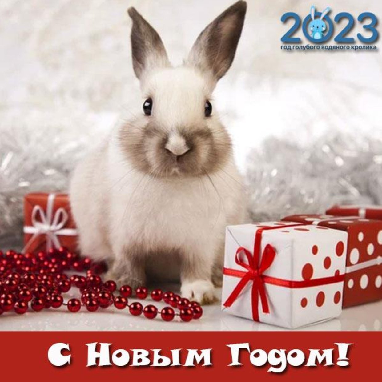 Прикольные новогодние открытки с кроликом фото