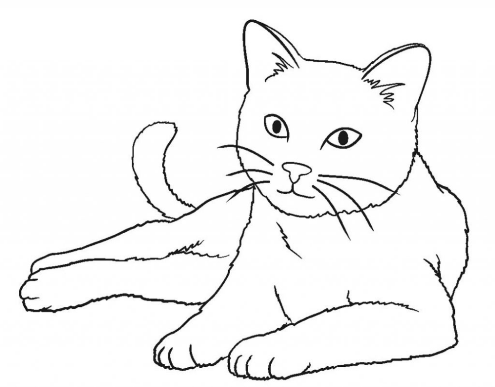 Простой детский рисунок кота фото
