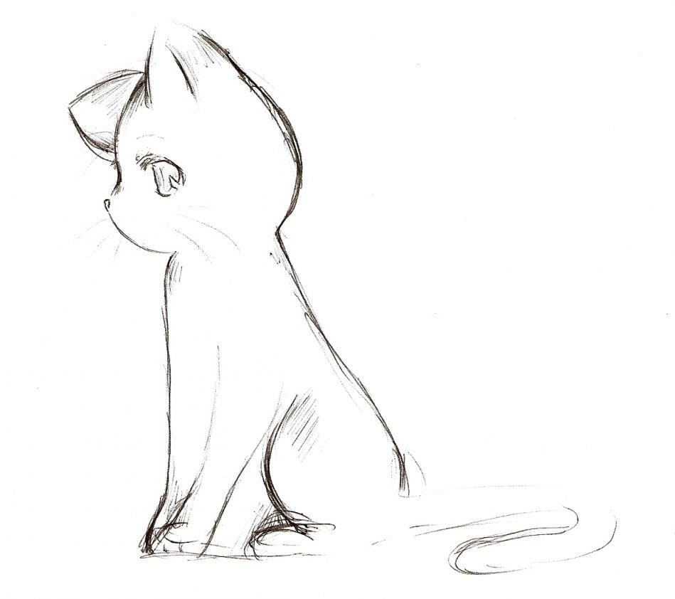 Простой рисунок кота аниме фото