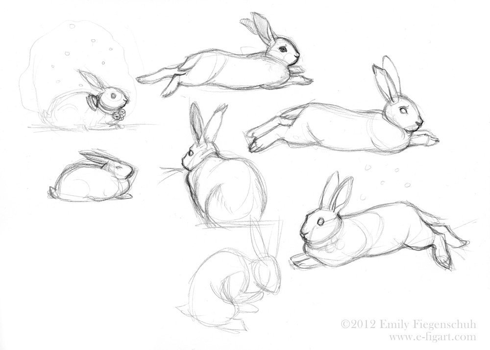 Простой рисунок кролика карандашом поэтапно фото