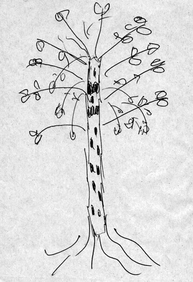 Психологический детский тест рисунок дерево фото