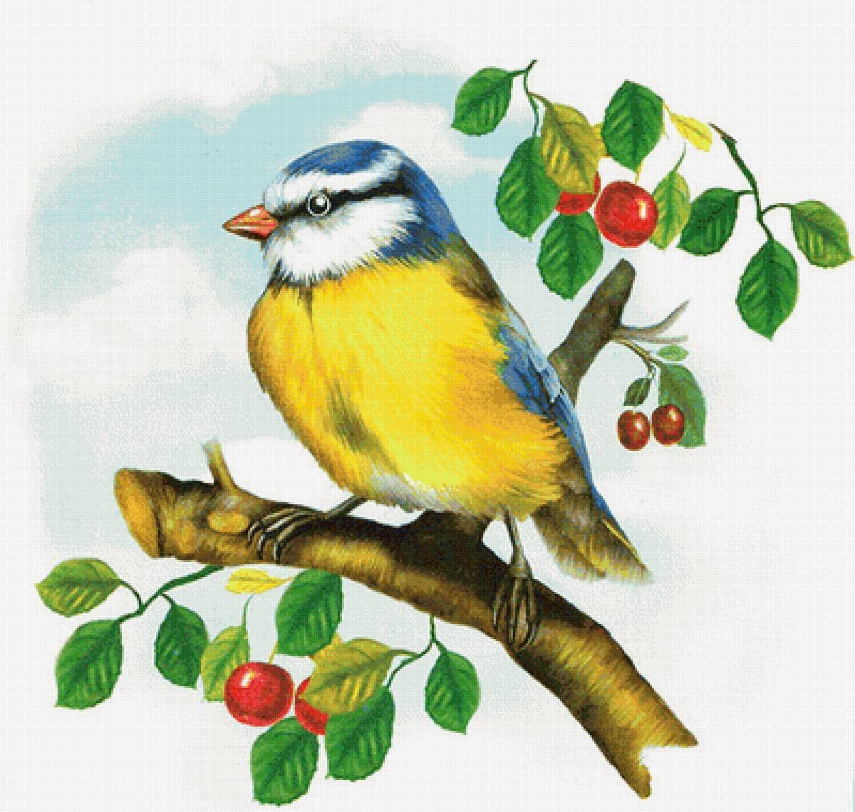Птички на ветке рисунок детский фото