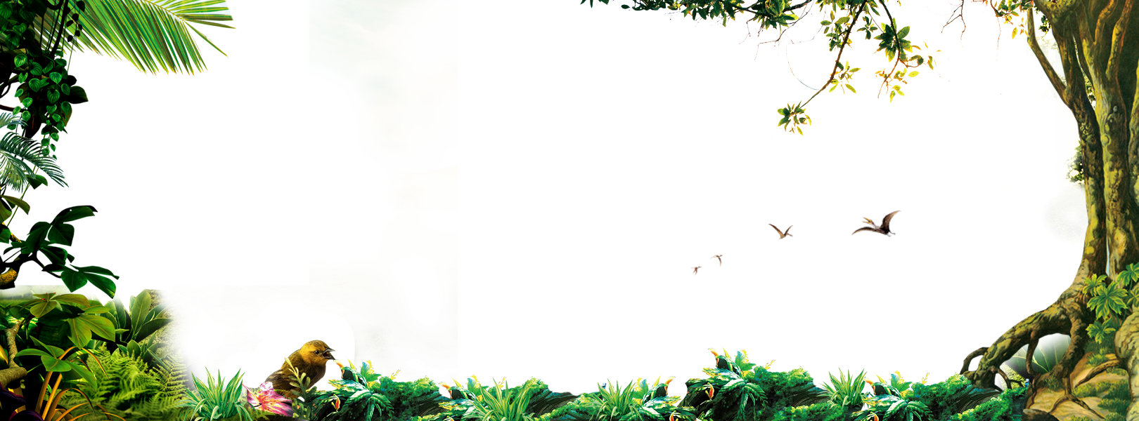 Рамка джунгли на прозрачном фоне фото