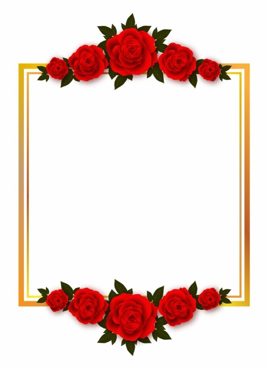 Рамка из красных роз на прозрачном фоне фото