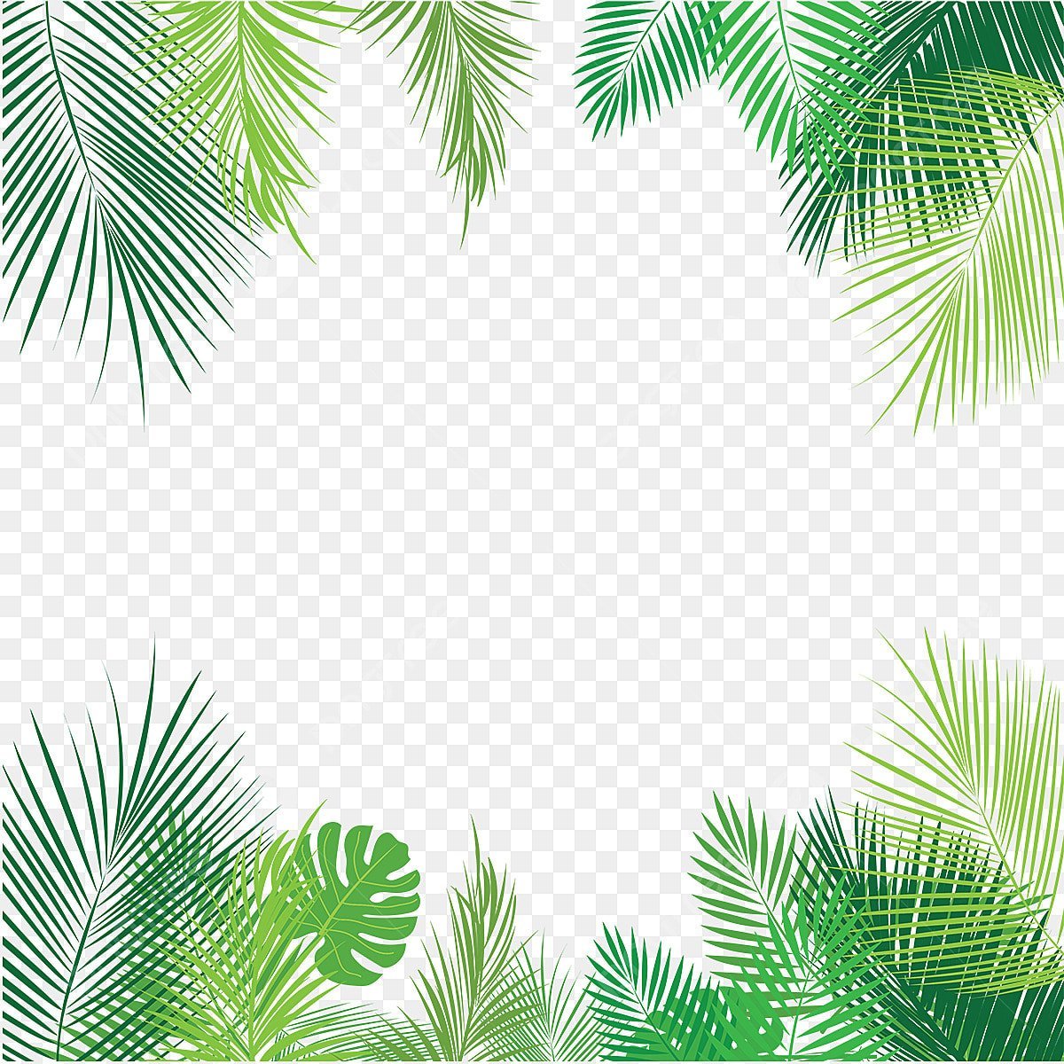 Рамка из тропических листьев на прозрачном фоне фото