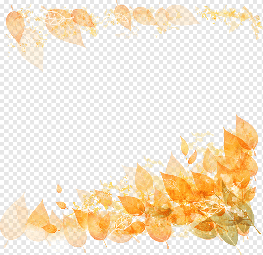 Рамка из желтых листьев на прозрачном фоне фото