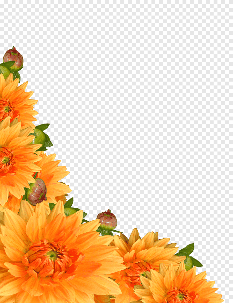 Рамка осенние цветы на прозрачном фоне фото