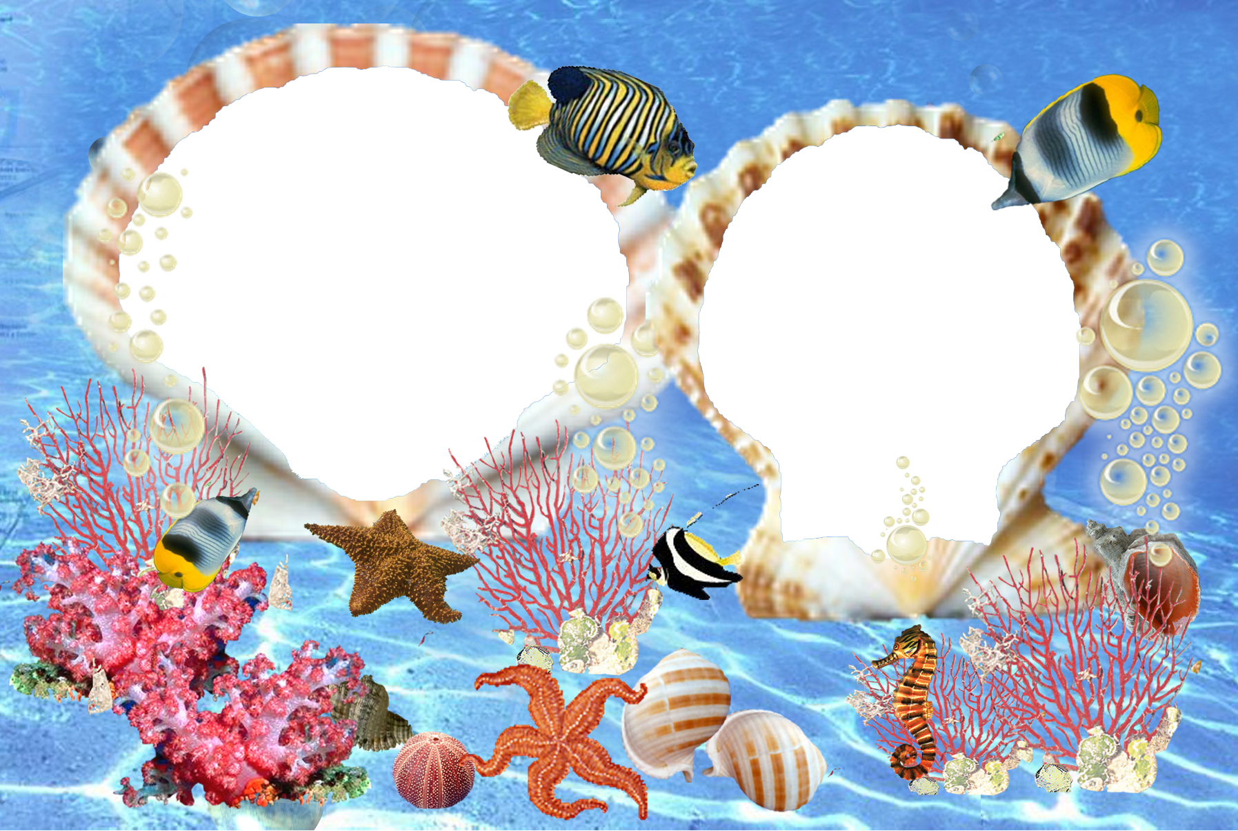 Рамка рыбки на прозрачном фоне фото