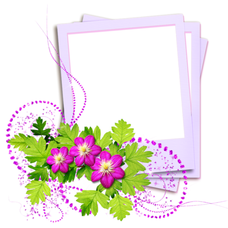 Рамка с днем рождения цветы на прозрачном фоне фото