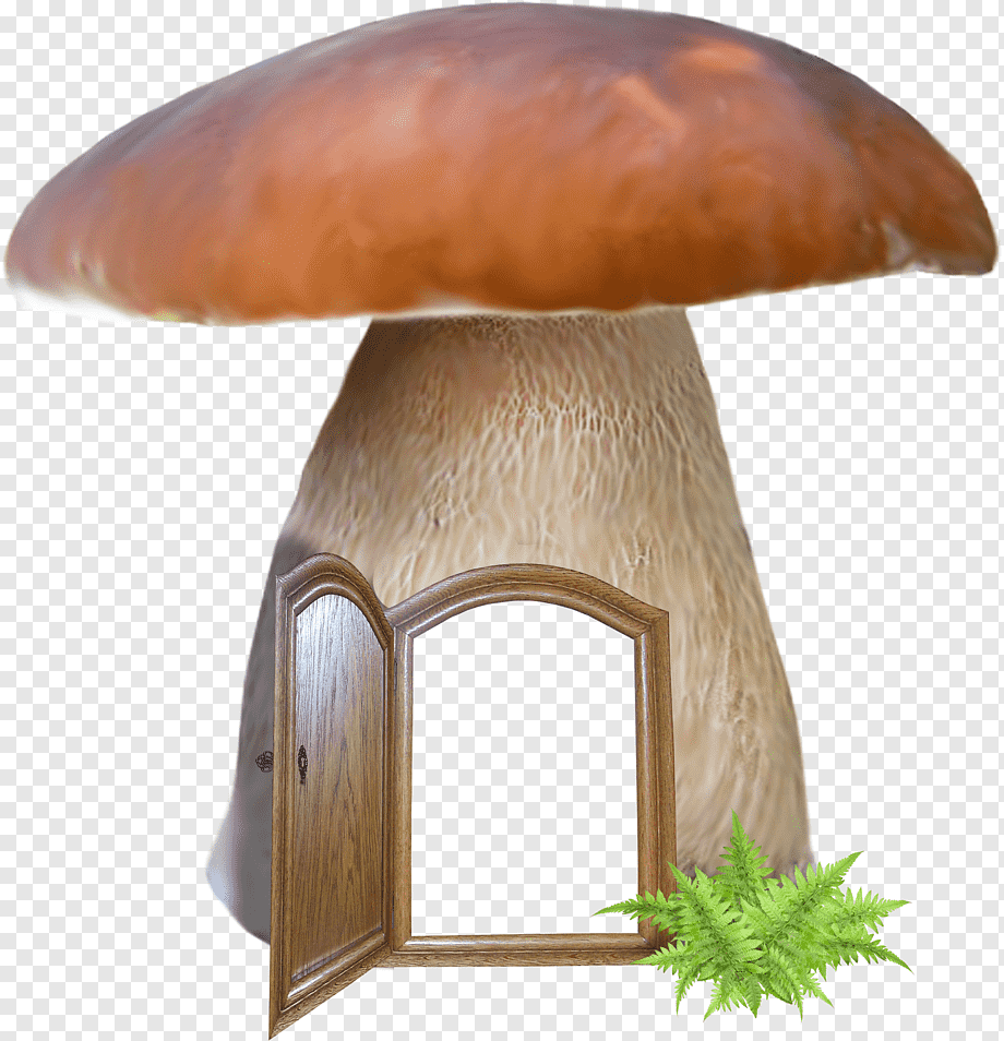 Рамка с грибами на прозрачном фоне фото