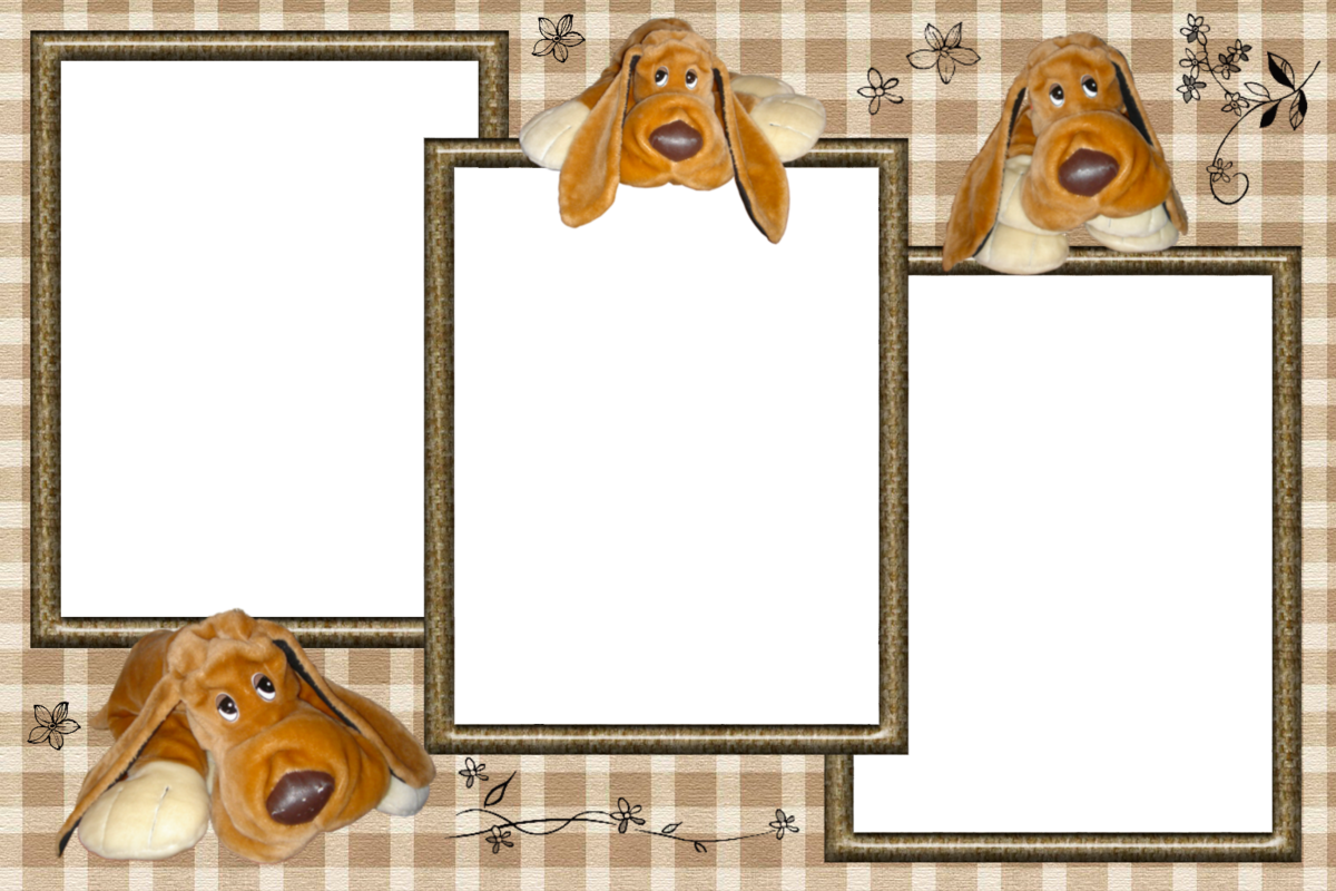 Рамка с собаками на прозрачном фоне фото