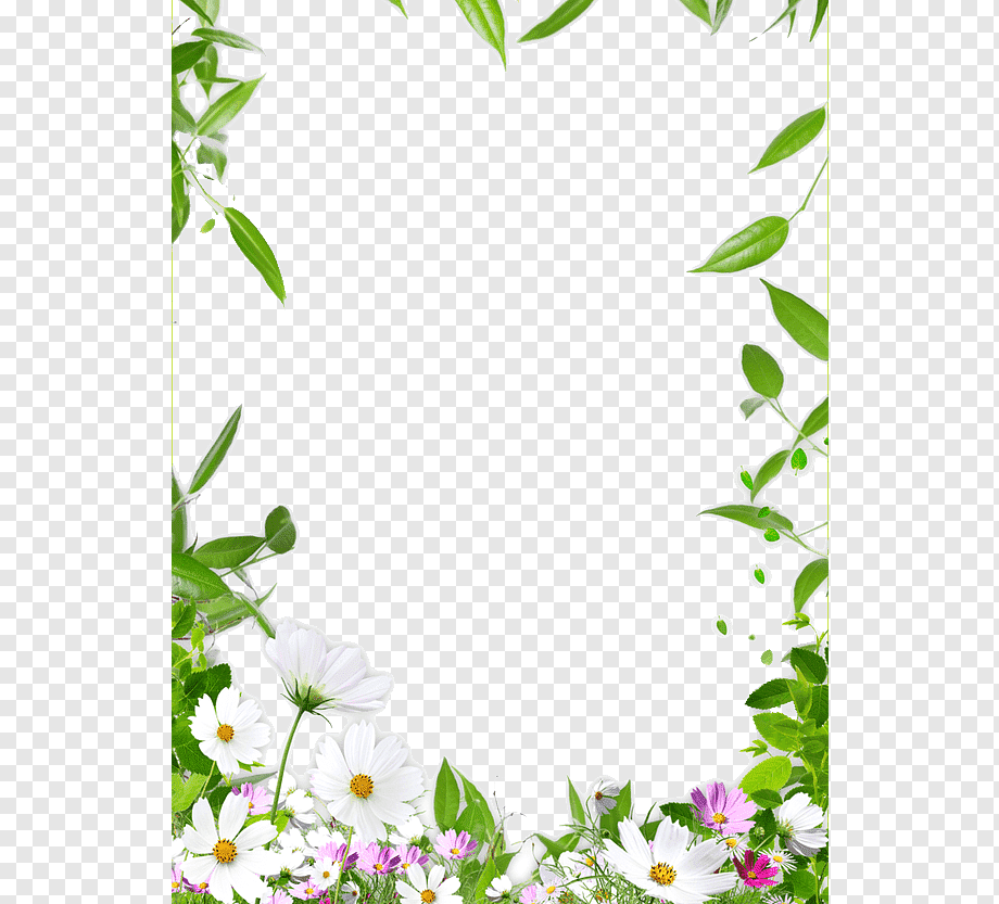 Рамка цветы вертикальная на прозрачном фоне фото