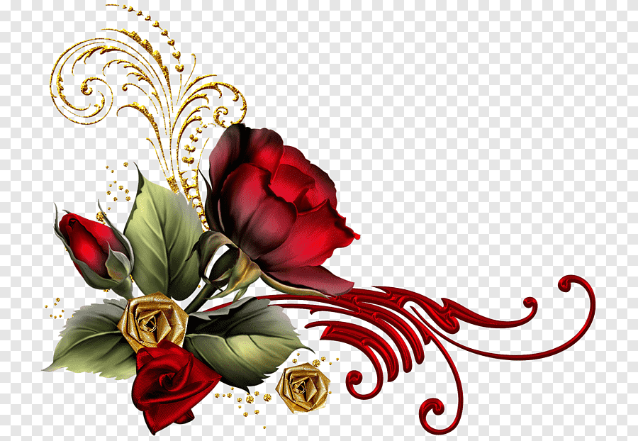 Рамки из бордовых роз на прозрачном фоне фото