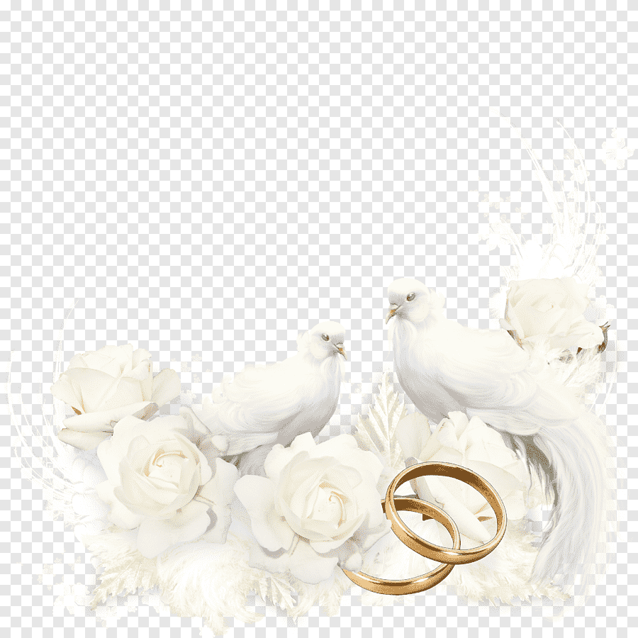 Рамки свадебные с кольцами на прозрачном фоне фото