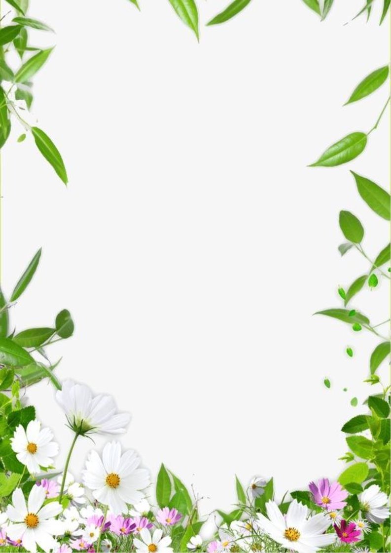 Рамки цветочные вертикальные на прозрачном фоне фото