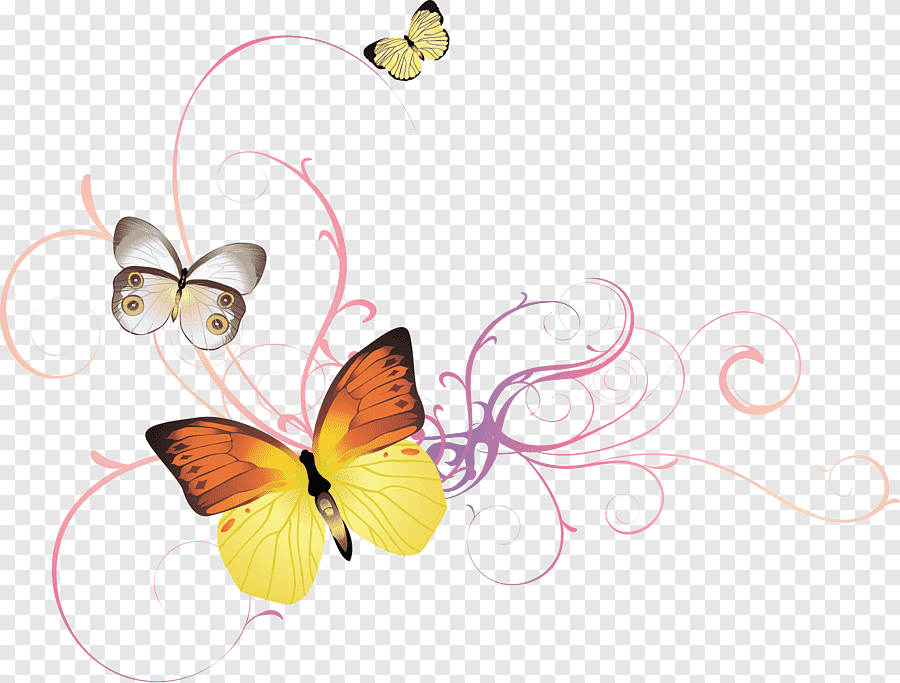Рамочка с бабочками на прозрачном фоне фото