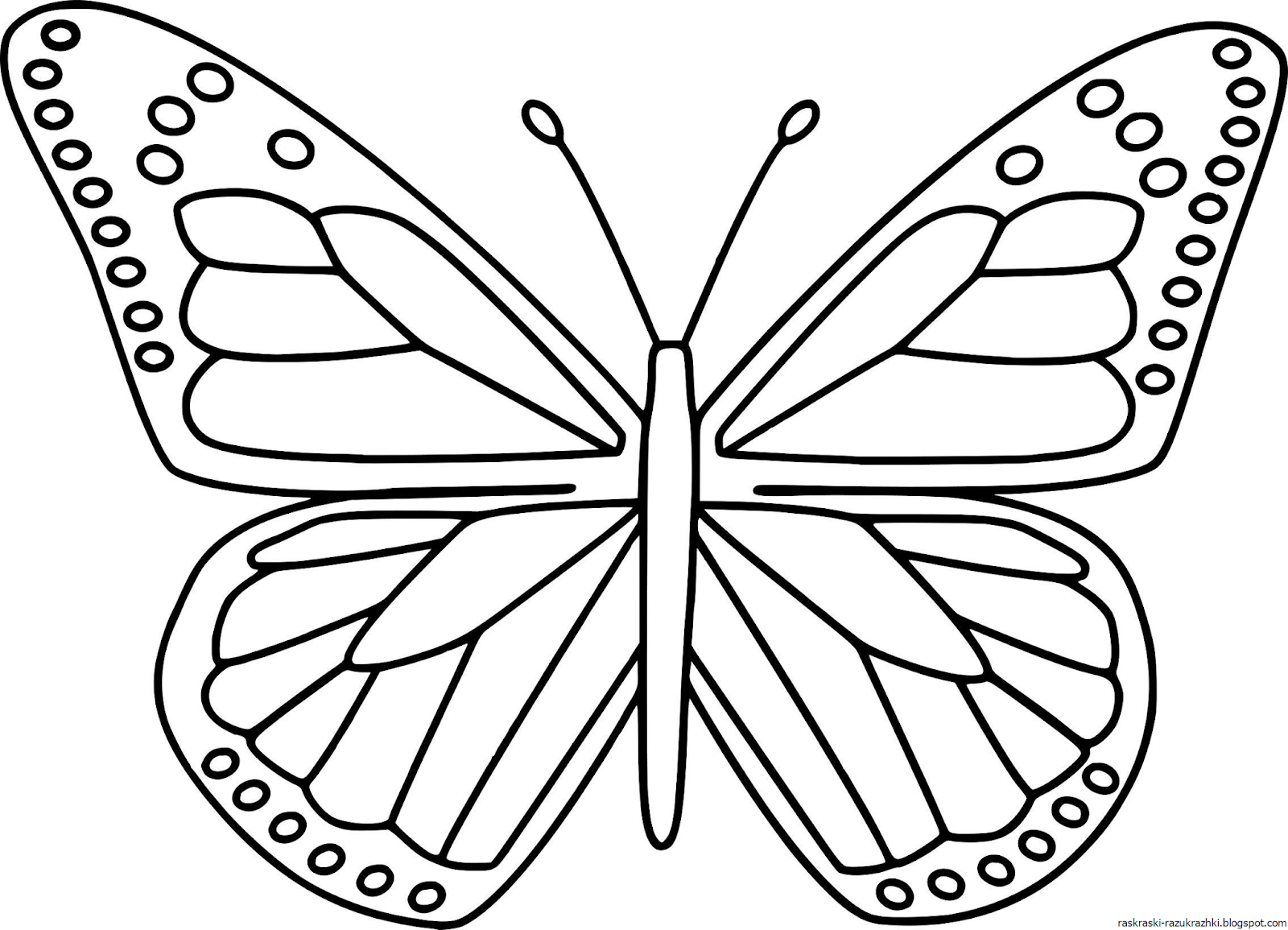 Раскраски бабочка для 5 лет фото