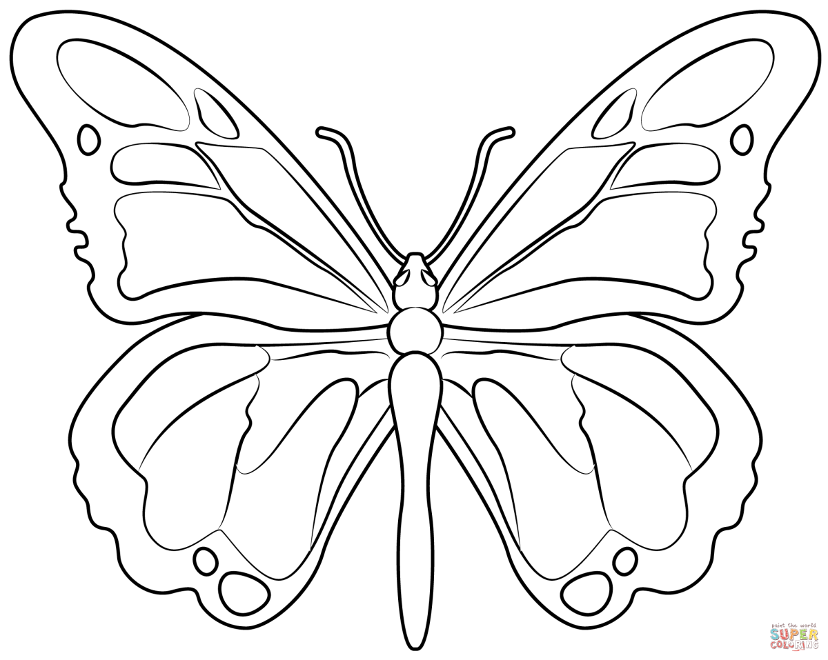 Раскраски бабочка для 8 лет фото