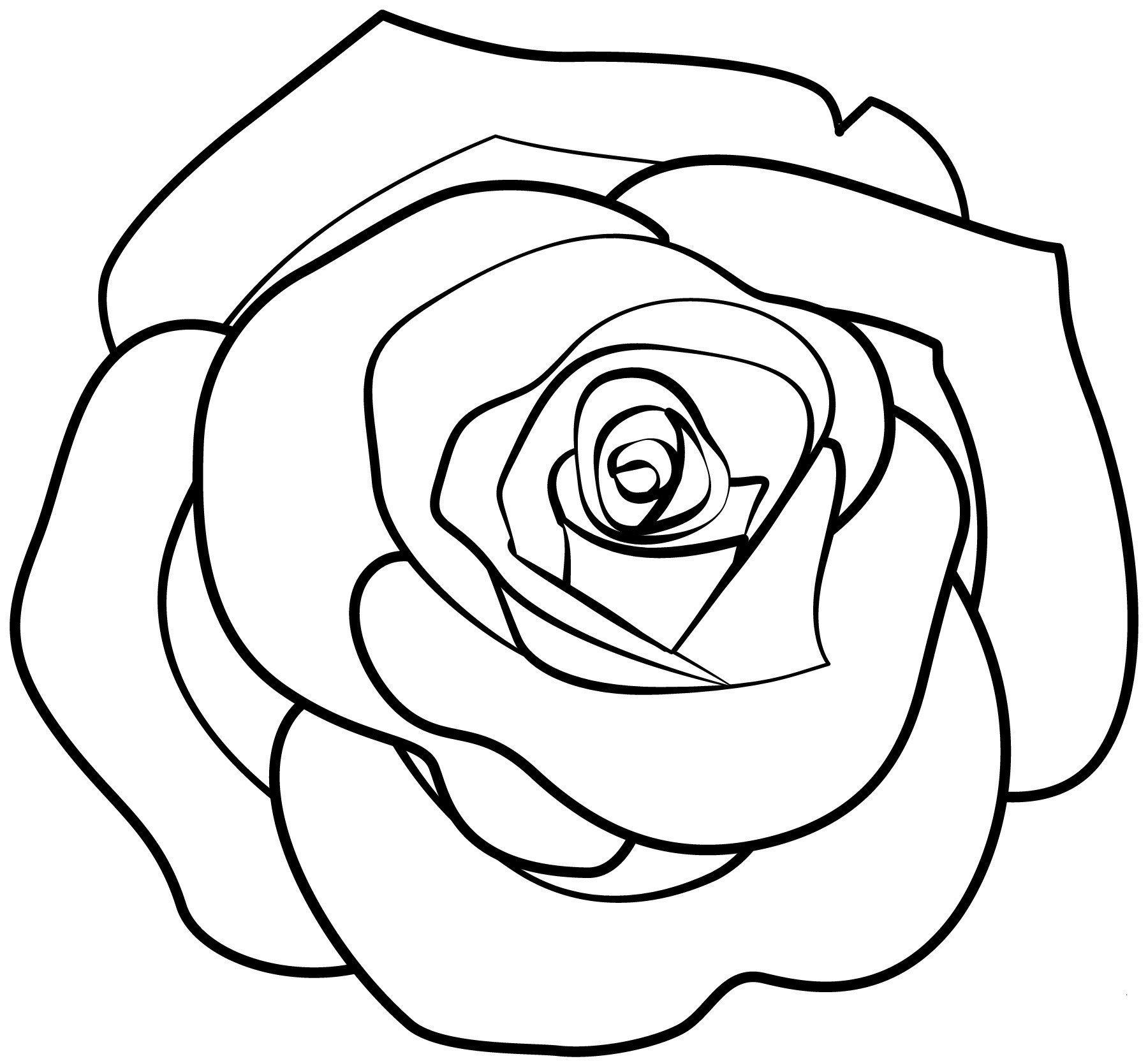 Раскраски роза для 3 лет фото