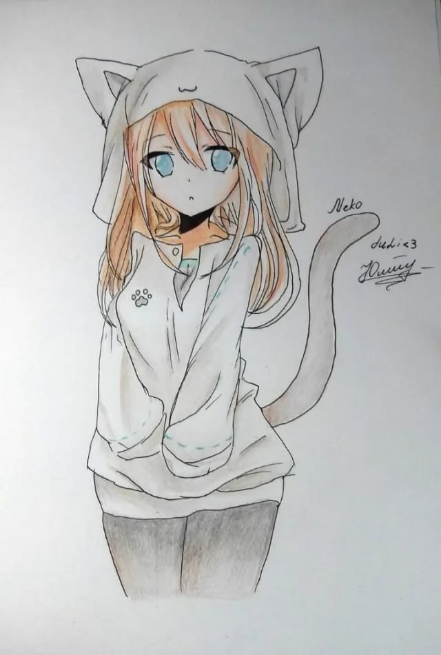 Рисунки аниме девочки кошки фото
