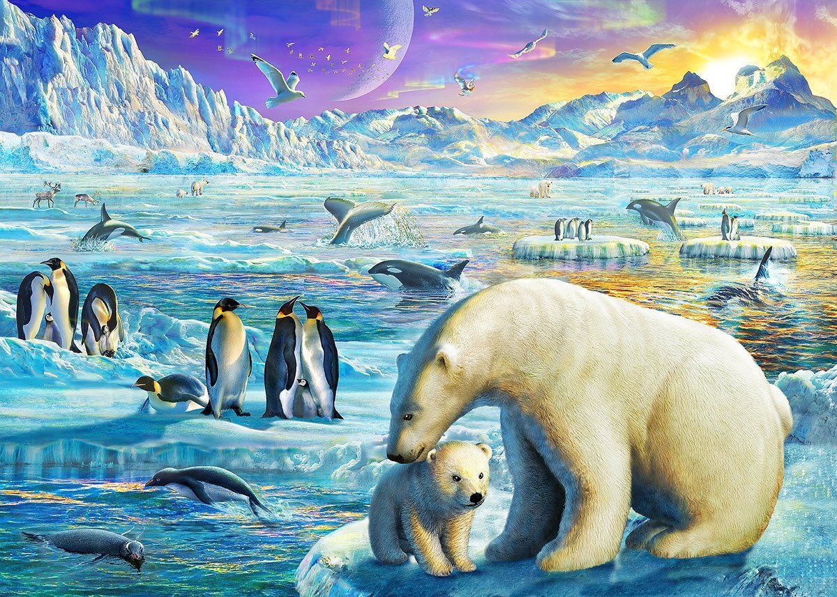Рисунки арктические животные фото