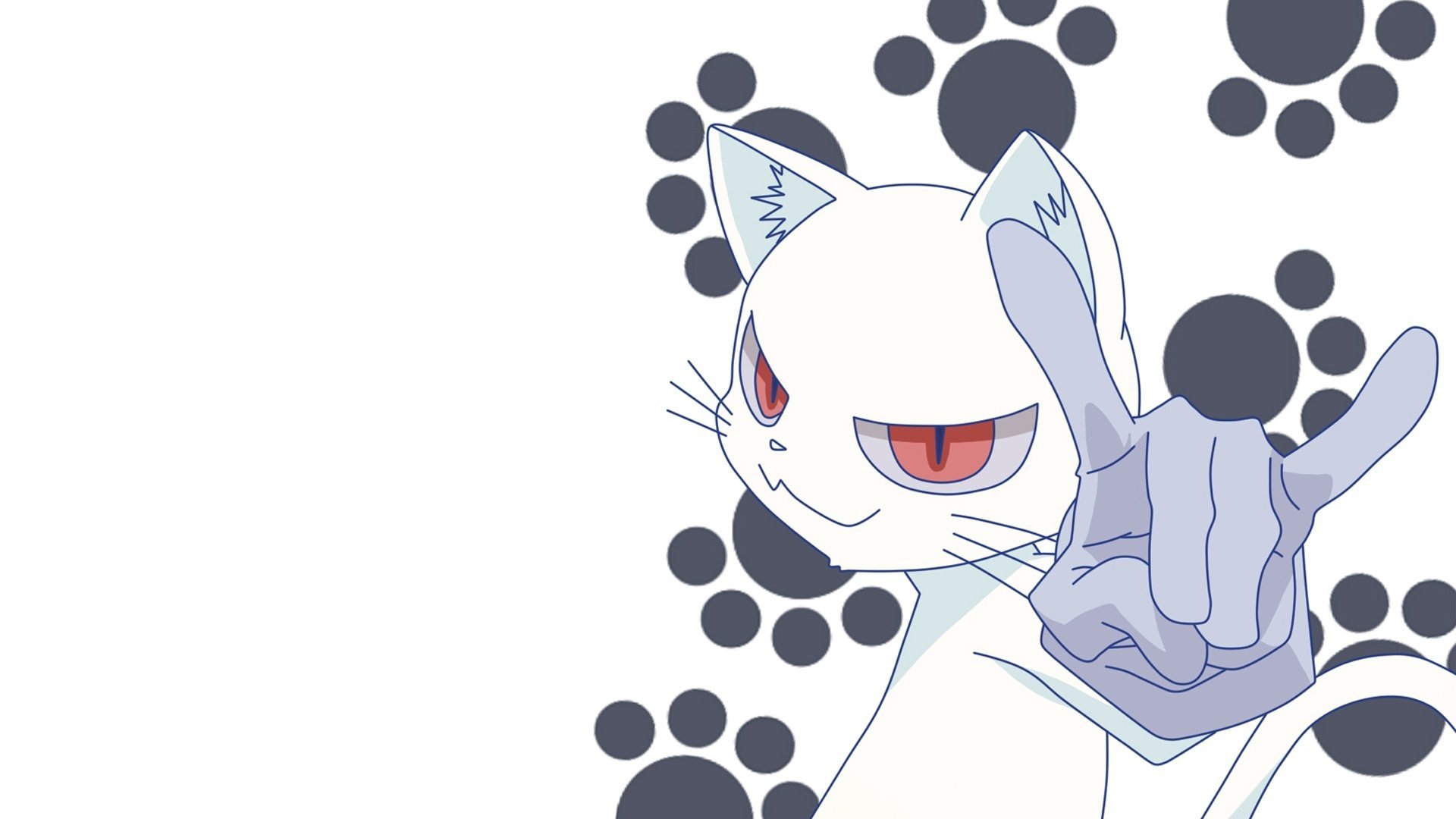 Рисунки белый кот аниме фото