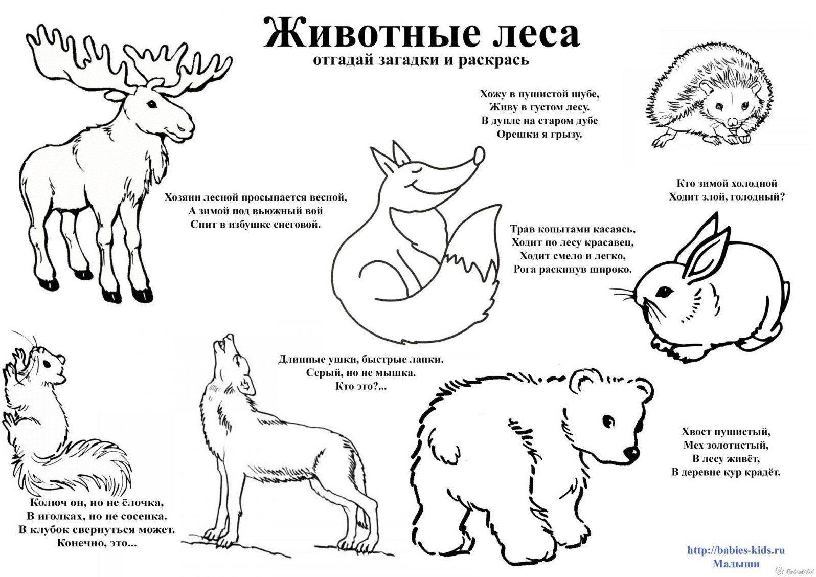 Рисунки для дошкольников животных фото