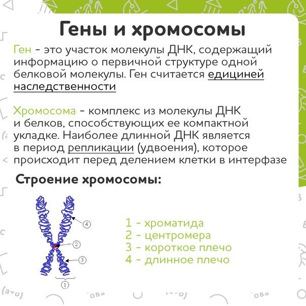 Рисунки для срисовки на праздник День синдрома дубликации хромосомы фото