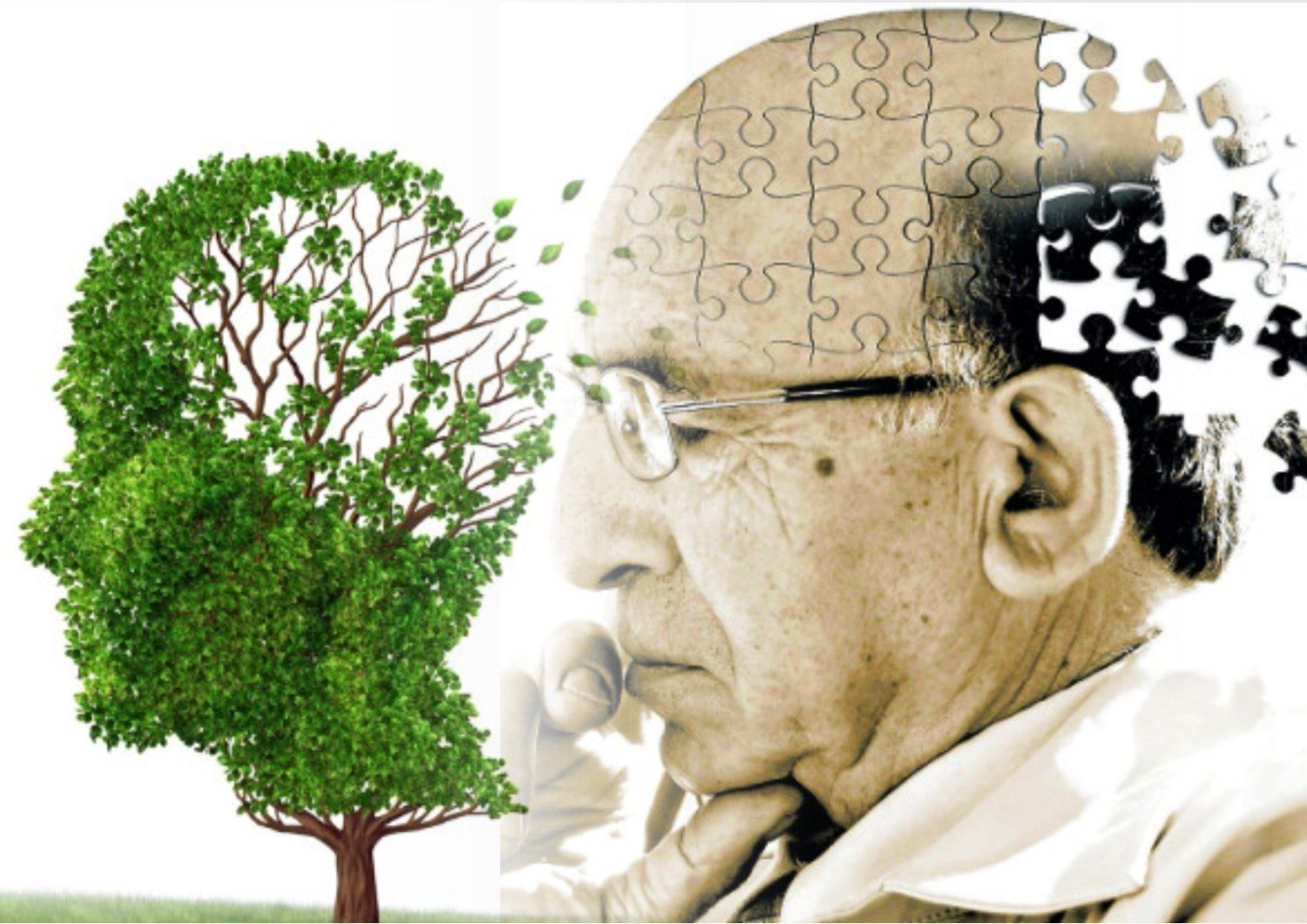 Рисунки для срисовки на праздник Международный день распространения информации о болезни Альцгеймера фото