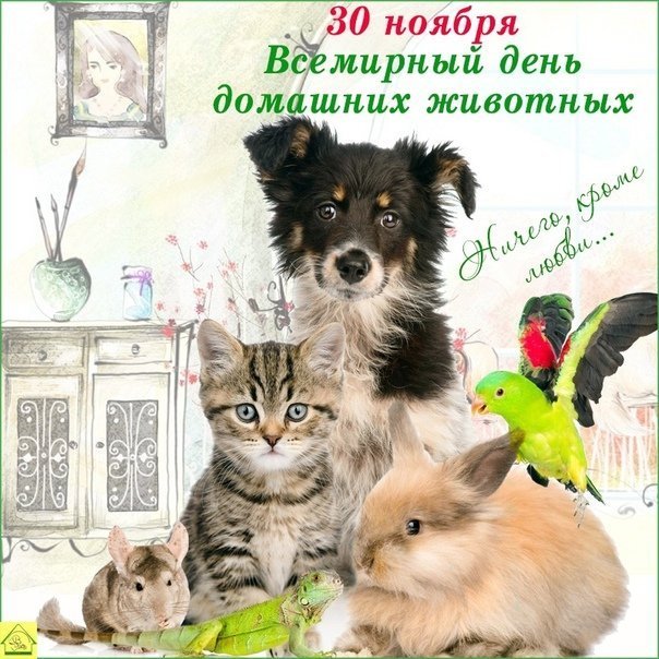 Рисунки для срисовки на праздник Всемирный день домашних животных фото