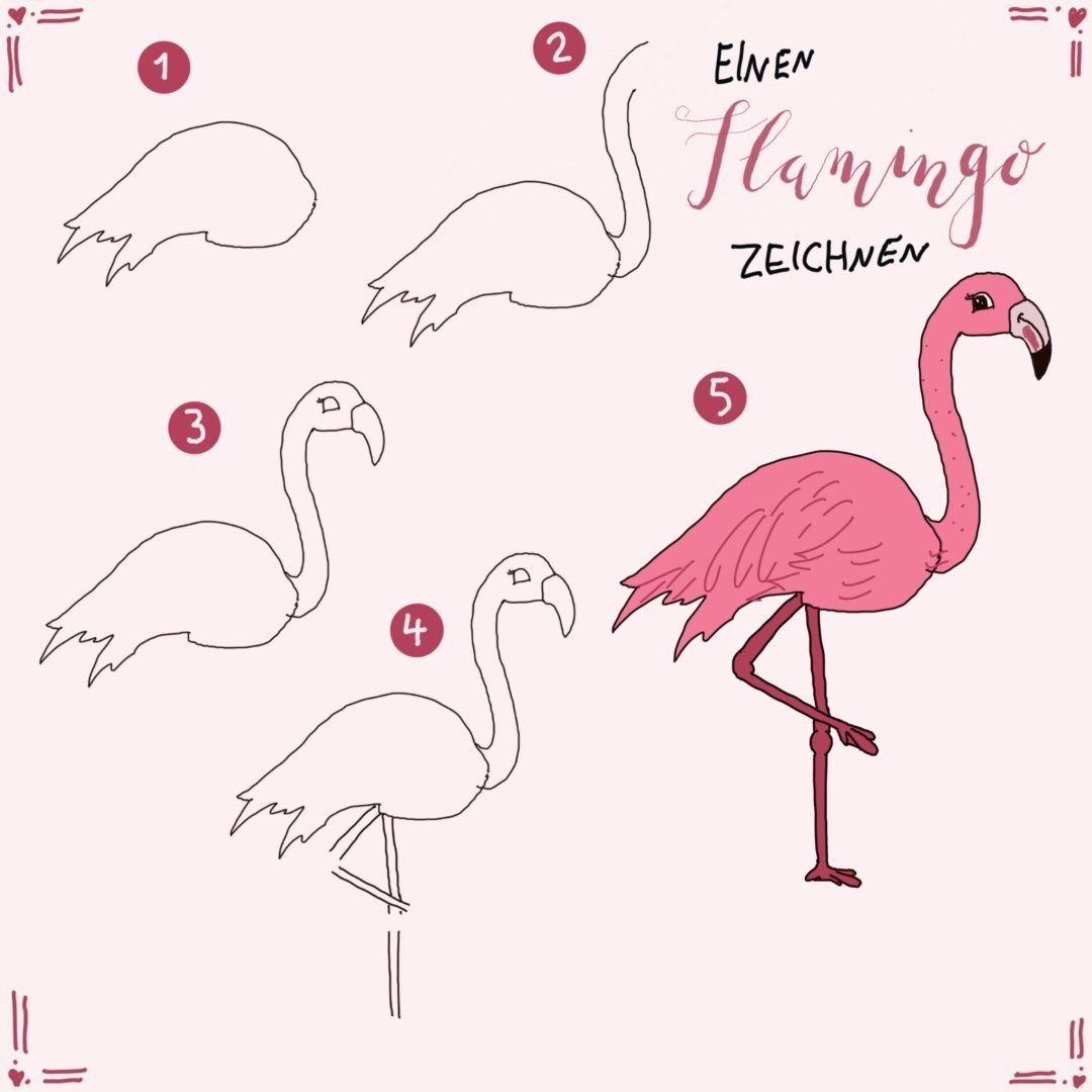 Рисунки фламинго для начинающих фото