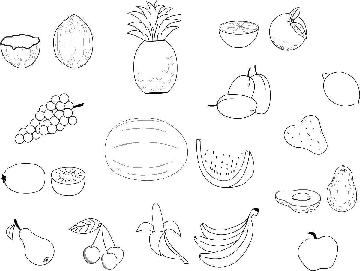 Рисунки фруктов и животных фото