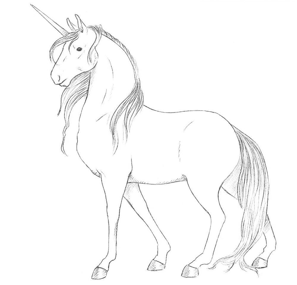 Рисунки карандашом для начинающих лошадь легкие рисунки фото