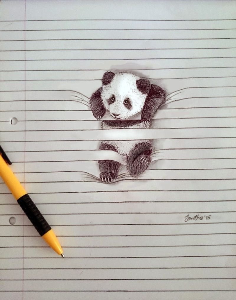 Рисунки карандашом легкие и красивые животные в тетради фото