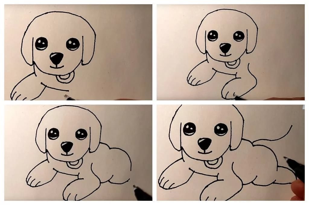 Рисунки карандашом поэтапно милые собачки фото