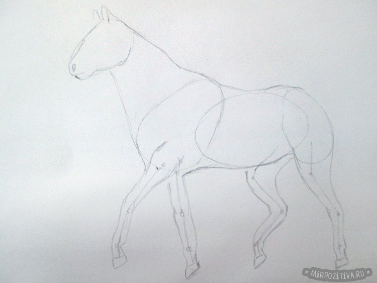 Рисунки карандашом животные легкие для начинающих лошадь фото
