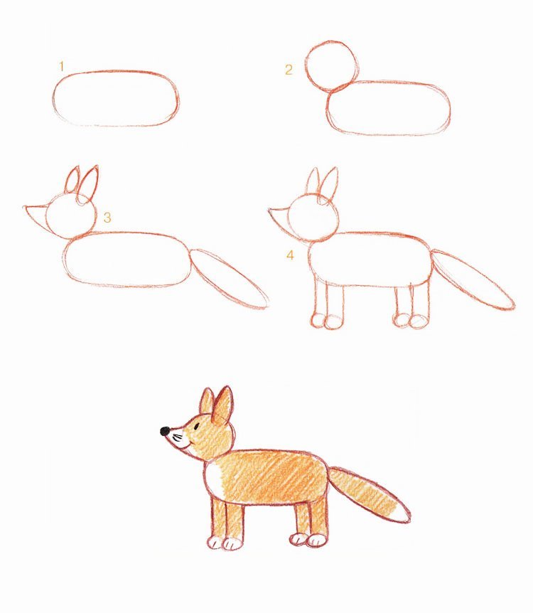 Рисунки карандашом животные легкие лисы фото