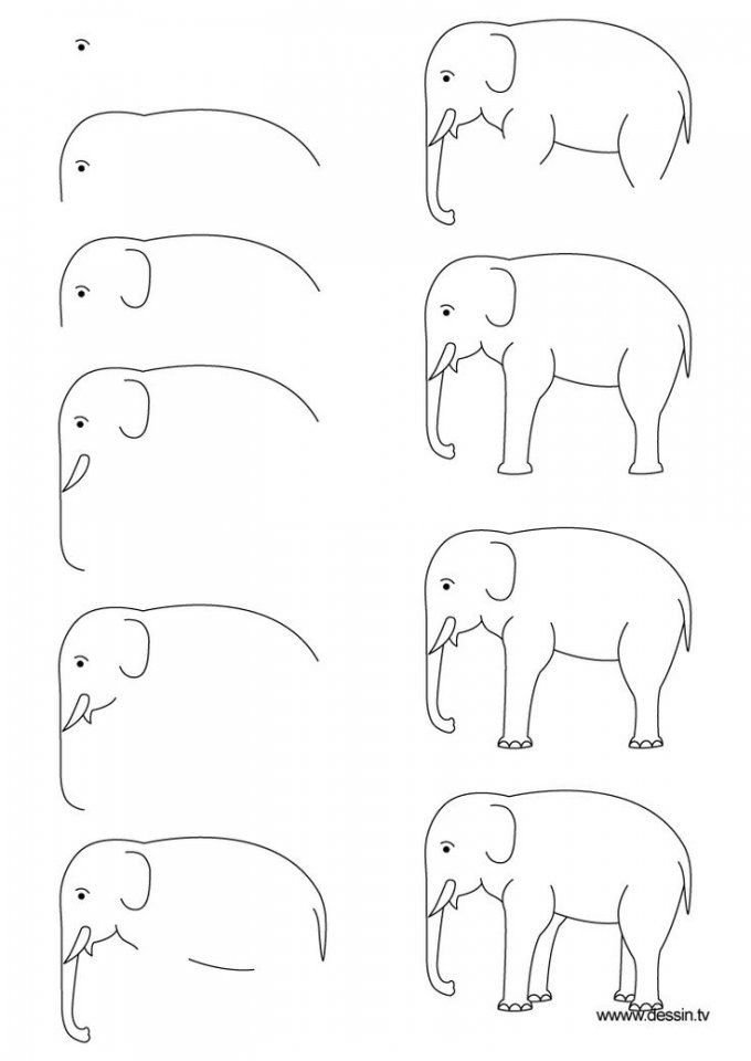 Рисунки карандашом животные схемы легко фото