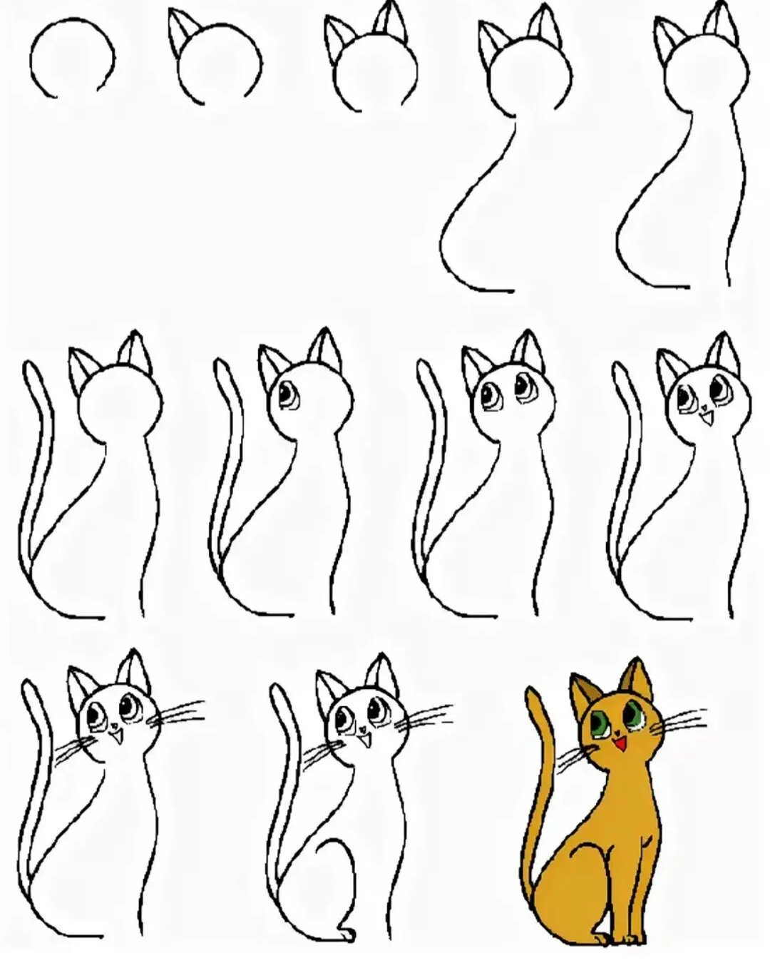 Рисунки карандашом животных для начинающих легкие и красивые фото