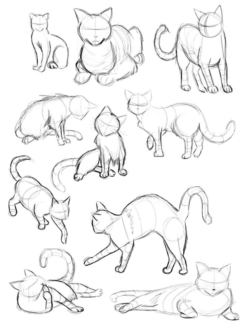 Рисунки кошек для начинающих фото