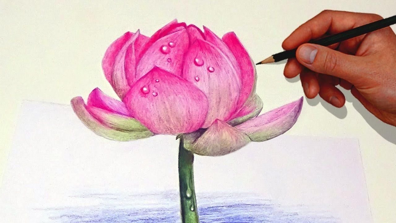 Рисунки красками и карандашом для начинающих легко фото